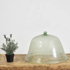 Antique French Glass Dome Cloche For