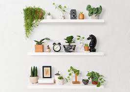 Wall Shelves Images Free On