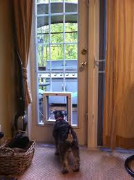 Door With Dog Door Visualhunt