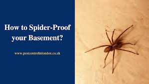 How To Spider Proof Your Basement
