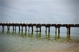 pier jetty wooden bridge sea free