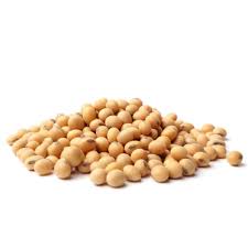 soybeans whole raw equine nutrition