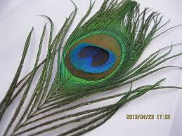Buy 100pcs Lot Peacock Tail Feathers 10
