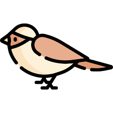 Sparrow Free Animals Icons