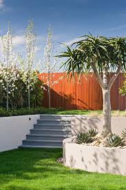 Top 10 Plants For Minimalist Gardens