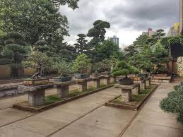 Chinese Garden Design Guide Garden