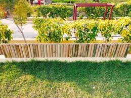 Matte Bamboo Garden Fence 11mm At Rs