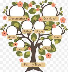Family Tree Png Images Pngegg