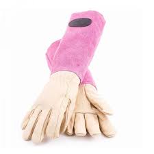 Gauntlet Gardening Gloves For Pruning