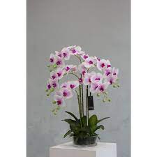 Soft Pink Orchid 5 Stems Glass Pot