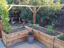 Raised Garden Bed On Concrete Patio