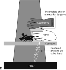 physics of diagnostic radiology