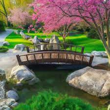 Japanese Wood Garden Moon Bridge