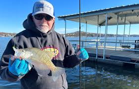 dock shooting how to fish docks for