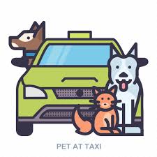Car Dog Pet Texi Icon On