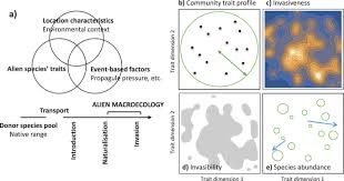 Invasibility In Trait Space