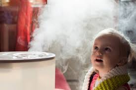 Humidifier Vs Dehumidifier This Winter