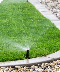 Lawn Treatment Irrigation Services