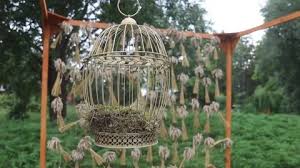 Bird Cage Hanging In The Garden Stock