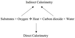 Indirect Calorimetry History