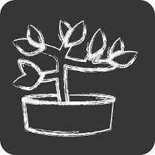 100 000 Potted Ivy Plant Vector Images