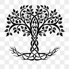 Celtic Tree Png Transpa Images Free