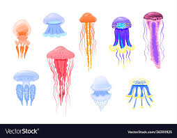 Type Jellyfish Icon Set Vector Image