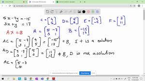 Systems Of Linear Equations Question 11