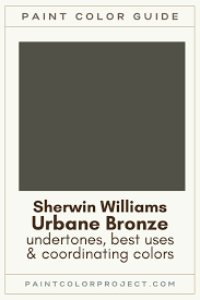 Sherwin Williams Urbane Bronze A