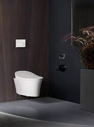 Dual Flush Wall Hung Toilet By Kohler
