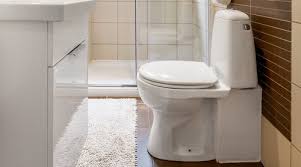 Elongated Vs Round Toilet Pros Cons