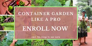 Companion Planting