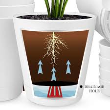 Make Your Own Self Watering Planters