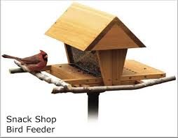 Building Birdhouses And Bird Feeders