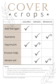 Planting A Cover Crop In A Home Garden