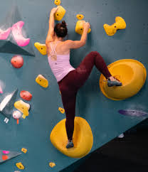 Home Bouldering Project