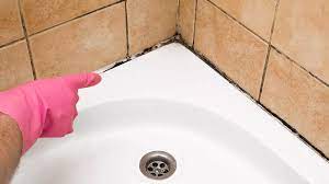 Remove Mould From Your Bathroom