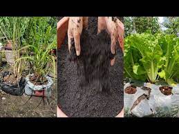 How To Sterilize Soil With Hydrogen