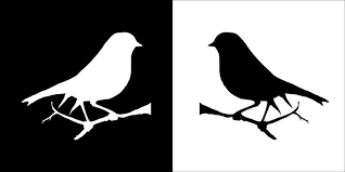 Dove Cartoon Vector Art Icons And