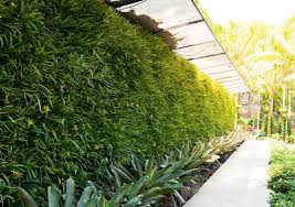 Residential Green Walls And Vertical