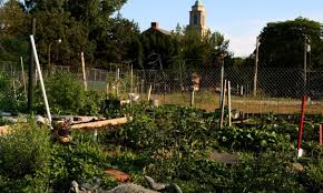 A History Of Community Gardening From