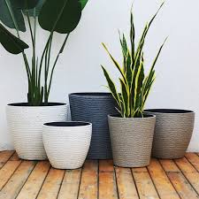 Extra Large Ceramic Plant Pot Best