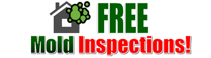 Free Mold Inspection Restoration 1 Of