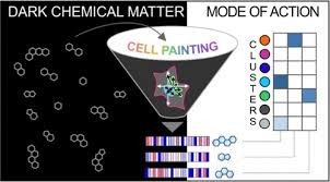 Cell Painting Assay