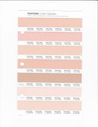 Pantone 12 0915 Tpg Pale Peach