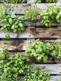 17 Herb Garden Ideas To Make Your