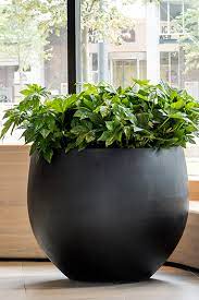 Large Planters For The Bigger Plants