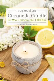 Diy Citronella Candles Recipe To Repel