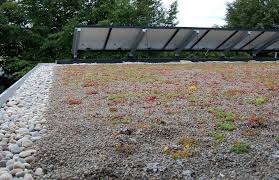 What Is A Green Roof A Beginners Guide