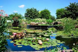 Botanical Gardens In Kansas City